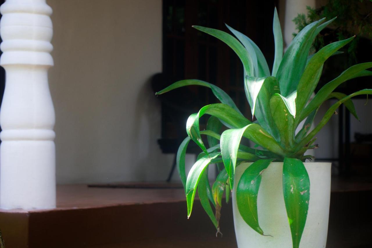 Jungle View Guesthouse ウナワトゥナ エクステリア 写真