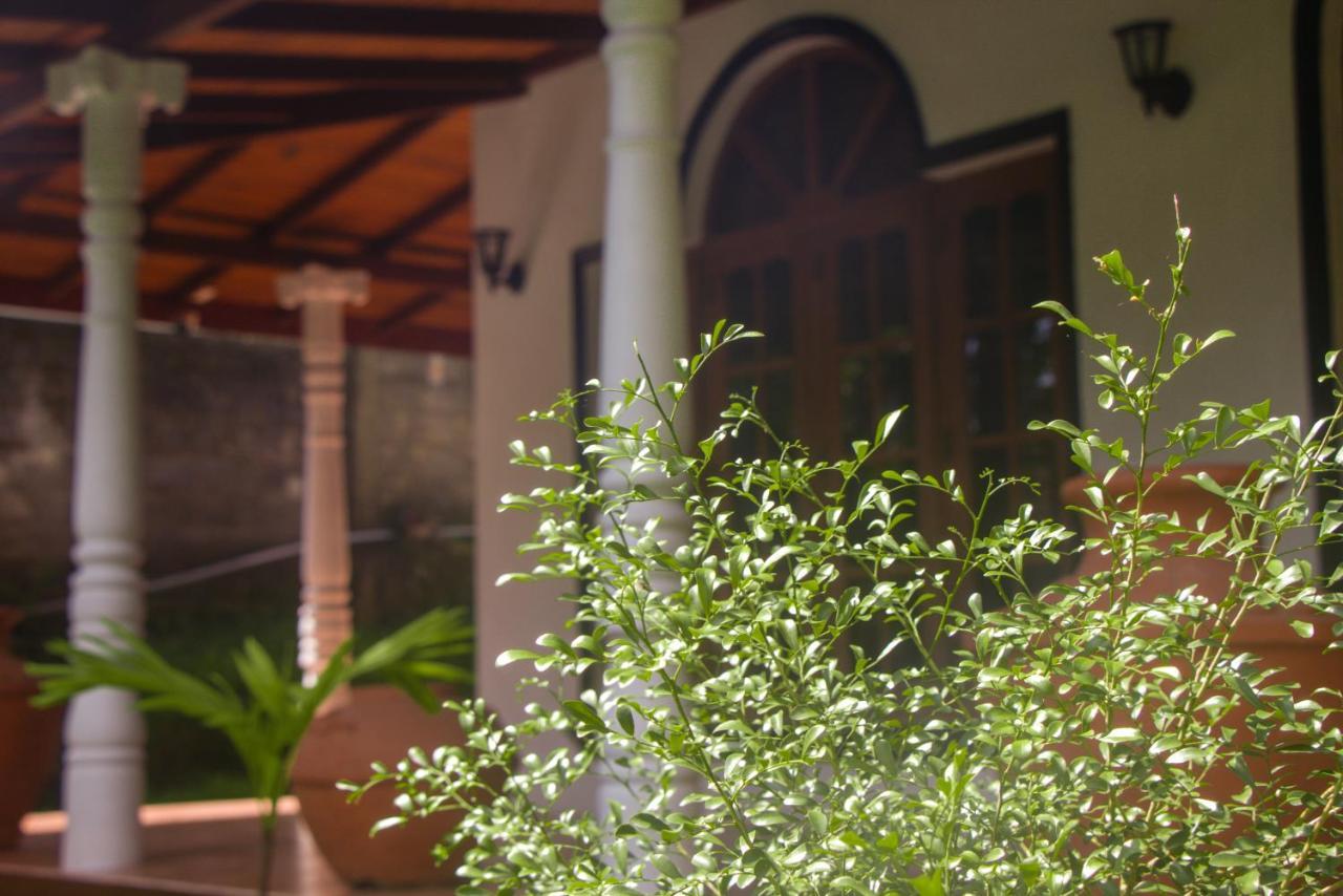 Jungle View Guesthouse ウナワトゥナ エクステリア 写真