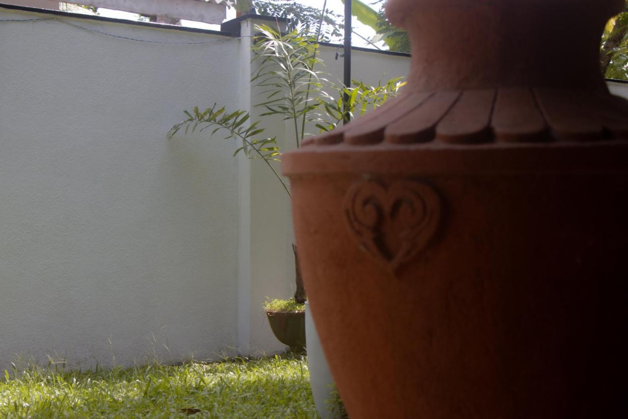 Jungle View Guesthouse ウナワトゥナ エクステリア 写真